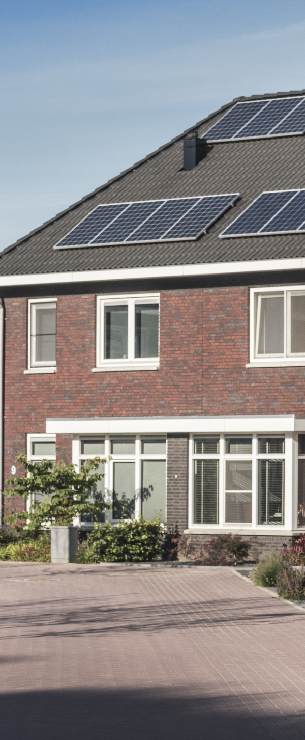 project_sambeek-6.jpg